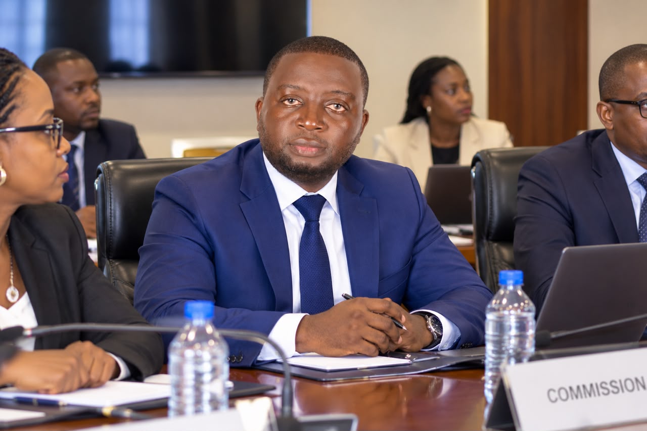 Sylvain MUYALI — réunion de la commission stratégique et de gouvernance de la holding